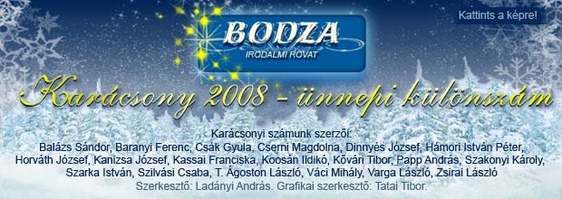 Karácsony 2008 - ünnepi különszám - BODZA irodalmi rovat - Kattints a képre!